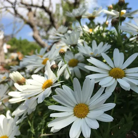 Costa Vacanze Apart-hotel 3*