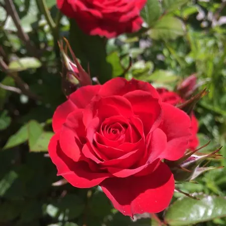 Aparthotel Costa Vacanze Lipari (Isola Lipari)