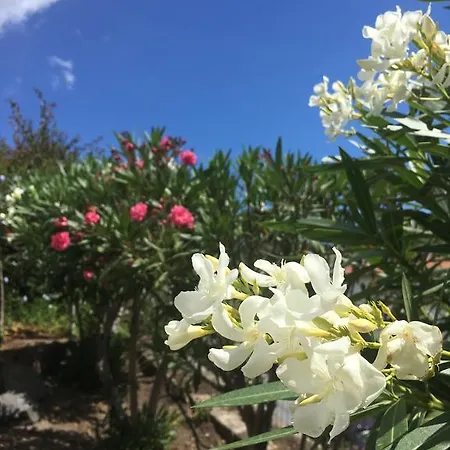 Costa Vacanze 3* Lípara