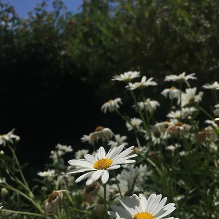 Costa Vacanze Apart-hotel