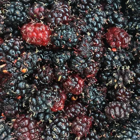 Costa Vacanze Aparthotel 3*