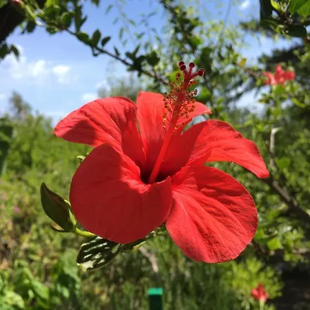 Costa Vacanze Apartmanhotel 3*