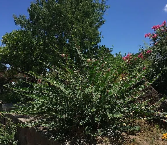 Lägenhetshotell Costa Vacanze Lipari (Isola Lipari)
