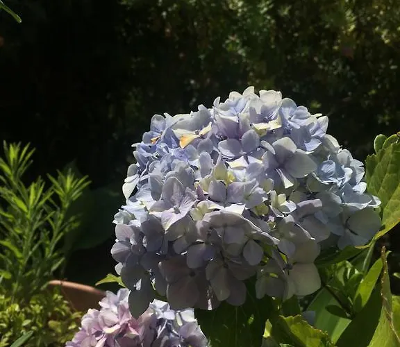 科斯塔瓦坎泽公寓式酒店