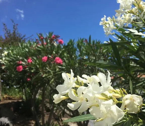 Costa Vacanze 3* リーパリ