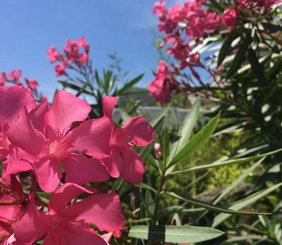 Costa Vacanze Lägenhetshotell Lipari (Isola Lipari)