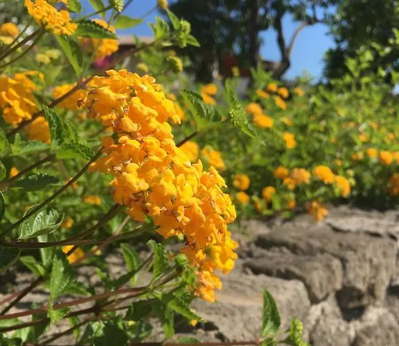 科斯塔瓦坎泽公寓式酒店 3*