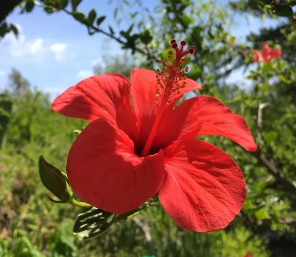 Costa Vacanze Apartahotel 3*